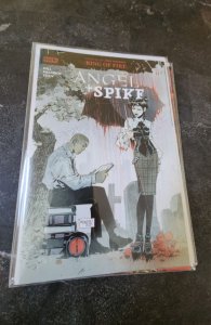 Angel + Spike #11 Cover B (2020)