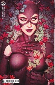 Catwoman #30 Variant Cover (2021) Catwoman
