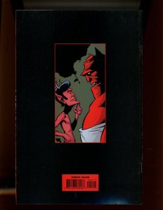 Hellboy Junior LOT #1-2 - Bill Wray, Hilary Barta Covers (7.0/7.5) 1999