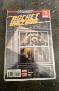Rocket Raccoon #1 David Nakayama Variant (2017)