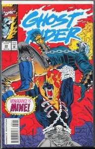 Ghost Rider #39 (1993) Ghost Rider