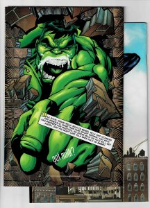 Captain America #23 & #24 (1999) Another Fat Mouse BOGO! BOGO? Read Description