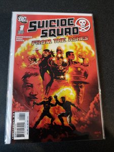 ​SUICIDE SQUAD #1 FROM THE ASHES NM