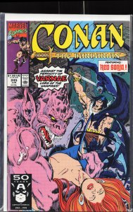 Conan the Barbarian #245 (1991) Conan