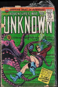 Adventures Into the Unknown #157 (1965) Nemesis