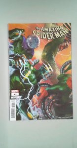The Amazing Spider-Man #53 Dell'Otto Cover (2024)