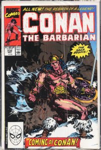 Conan the Barbarian #232 (1990) Conan