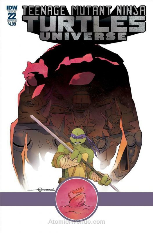 Teenage Mutant Ninja Turtles Universe #22B VF/NM; IDW | save on shipping - detai