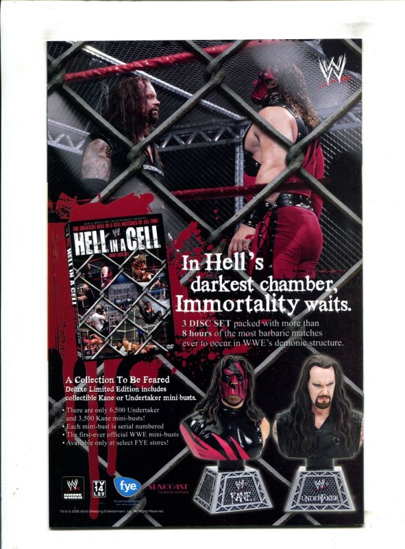 Wonder Woman #25 - Aaron Lopresti Cover (9.0) 2008