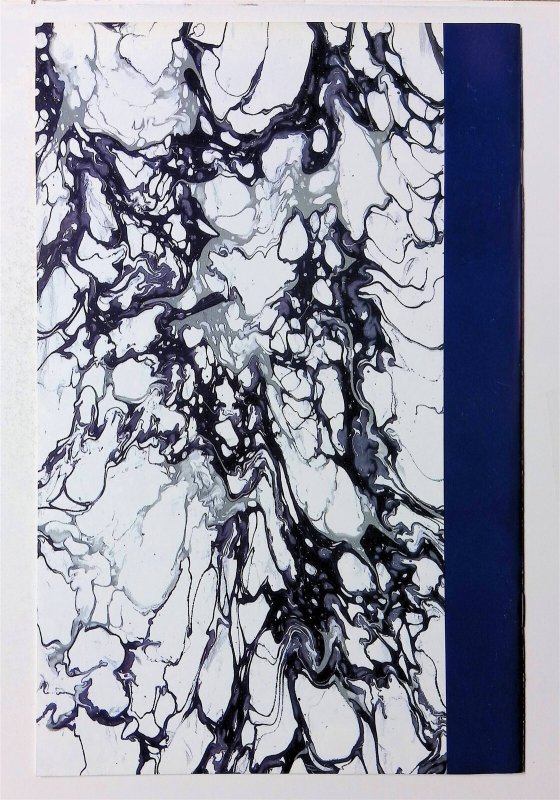 Turtle Soup (2nd Series) #1 (Nov 1991, Mirage) VF-