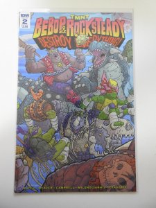 Teenage Mutant Ninja Turtles Bebop & Rocksteady Destroy Everything #2 (2016)