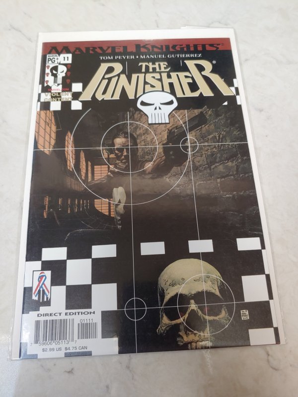 The Punisher #11 (2002)