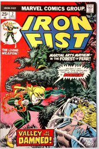 Iron Fist #2 (7.0, 1975) [Key Issue]