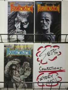 FRANKENSTEIN (1989 ET) 1-3 Classic adapted