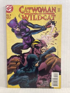 Catwoman Wildcat #3