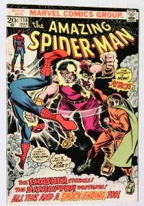 The Amazing Spider-Man #118 (Mar 1973, Marvel) FN/VF