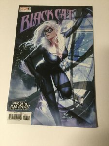 Black Cat 3 Nm Near Mint Variant Marvel