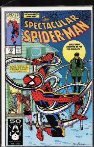The Spectacular Spider-Man #173 (1991) Spider-Man