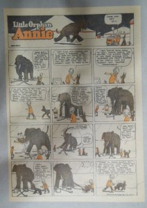 Little Orphan Annie Sunday Page Harold Gray ?/1927 Size: 11 x 15 inches