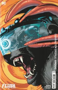 Flash # 6 Variant Cover B NM DC 2024 [W1]