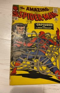 The Amazing Spider-Man #25 (1965)captured by jj Jameson  see description