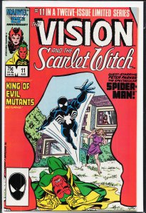 The Vision and the Scarlet Witch #11 (1986) The Vision