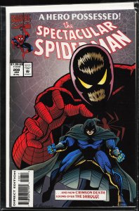 The Spectacular Spider-Man #208 (1994) Spider-Man