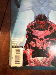 Dark Reign: The List - Punisher (2009)