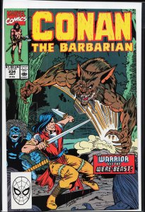Conan the Barbarian #234 (1990) Conan