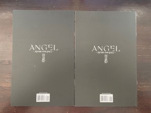 Angel after the Fall #8 9 virgin variant covers IDW 2008 NM 9.4