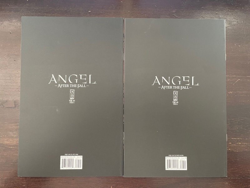 Angel after the Fall #8 9 virgin variant covers IDW 2008 NM 9.4