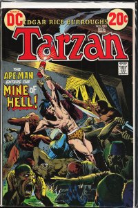 Edgar Rice Burroughs' Tarzan #215 (1972)