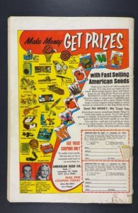 The Flash #205 (1971)