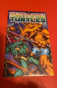 Teenage Mutant Ninja Turtles #6 (1986)1st print