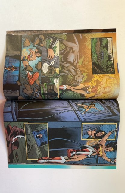 Wonder Woman #206 (2004)