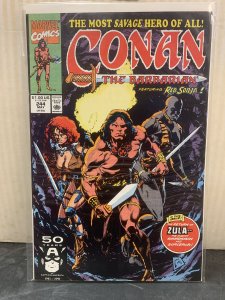 Conan the Barbarian #244 (1991)