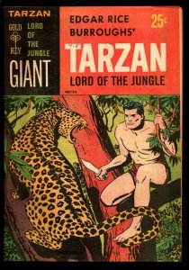 Tarzan Lord of the Jungle #1 1965 Gold Key-1st issue-paper cover--Jesse Marsh...