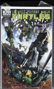 Teenage Mutant Ninja Turtles #17 (2012)