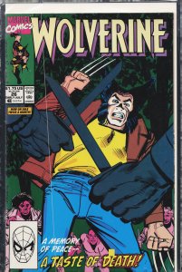Wolverine #26 (1990) Wolverine
