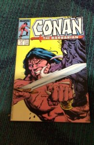 Conan the Barbarian #193 Direct Edition (1987) SHADU! High-Grade NM- Wow!