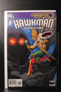 Hawkman Special (2008)