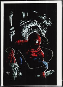 The Amazing Spider-Man #801 Dell'Otto Cover (2018) Spider-Man