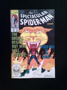 Spectacular Spider-Man #171  MARVEL Comics 1990 FN/VF