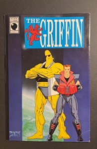 The Mystery Man #1 (1988)