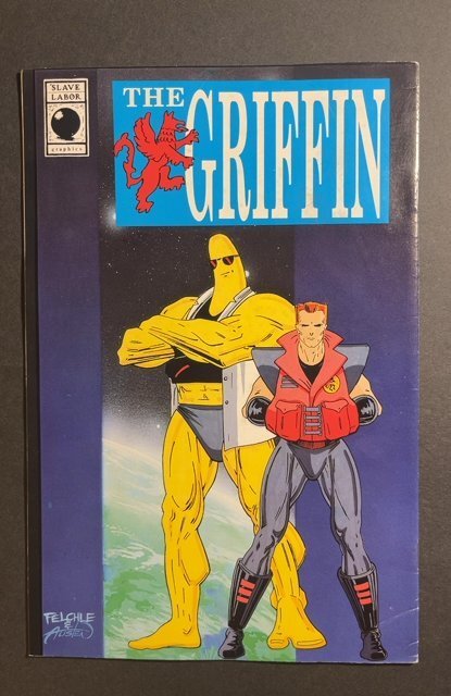 The Mystery Man #1 (1988)