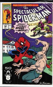 The Spectacular Spider-Man #182 (1991) Spider-Man