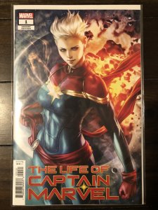 The Life of Captain Marvel #1-3