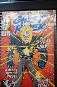 Ghost Rider #37 (1993)