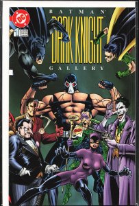 Batman: Dark Knight Gallery (1996)