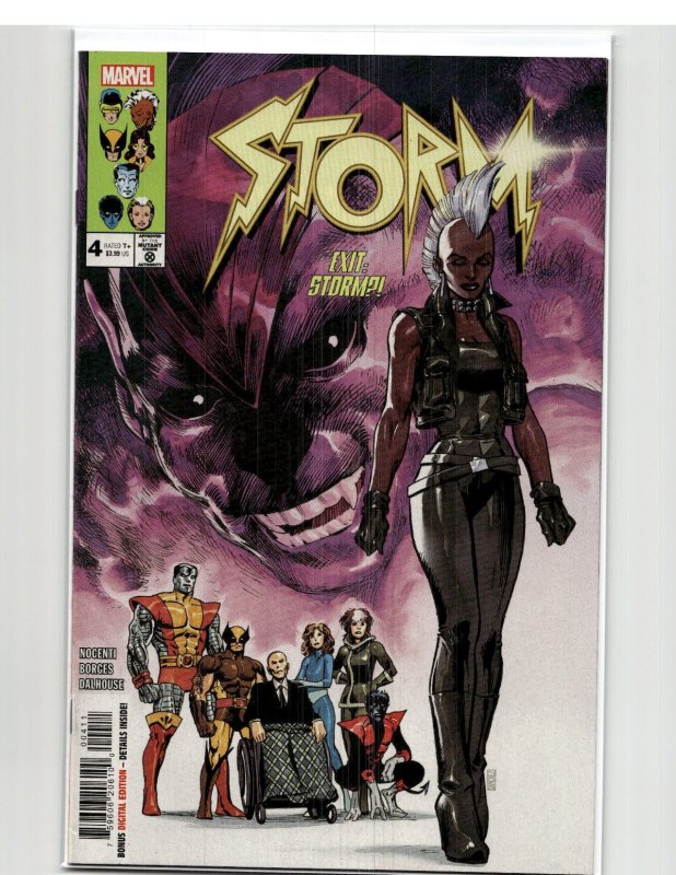 Storm #4 (2023) Storm